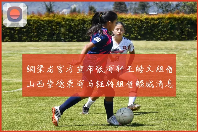 铜梁龙官方宣布张海轩王皓文租借山西崇德荣海马钰钧租借鲲城消息